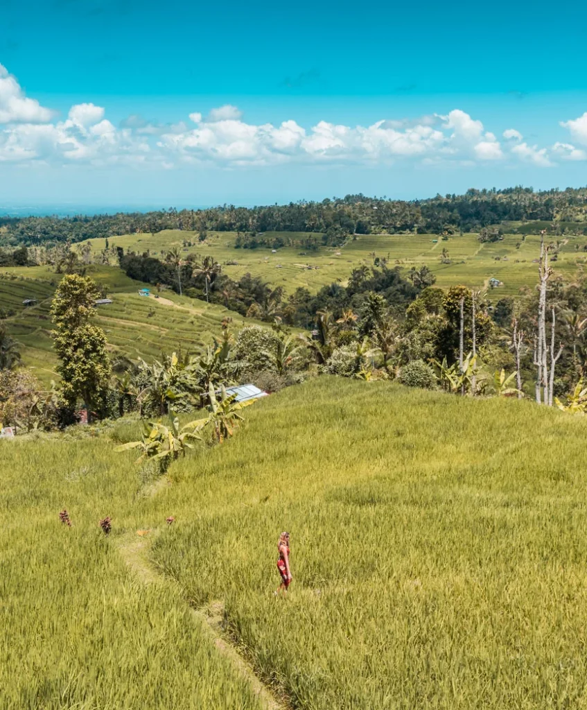 The vast Jatiluwih Rice Terraces, a UNESCO site and one of the top places to visit in Bali.