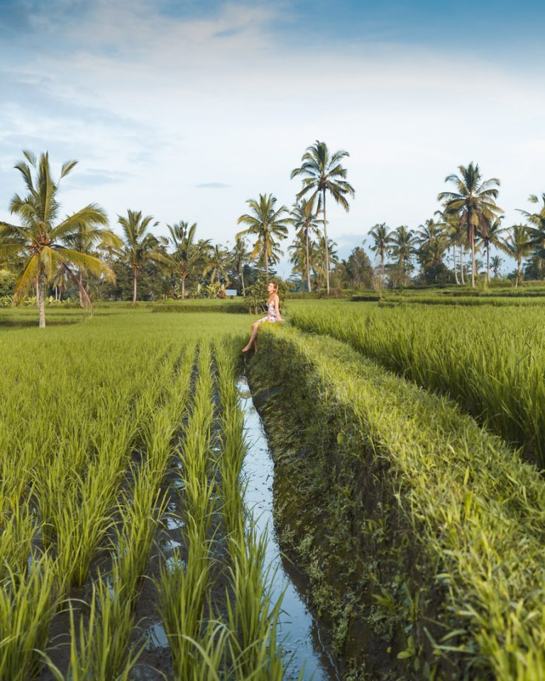 Bali03 - IG-1-4