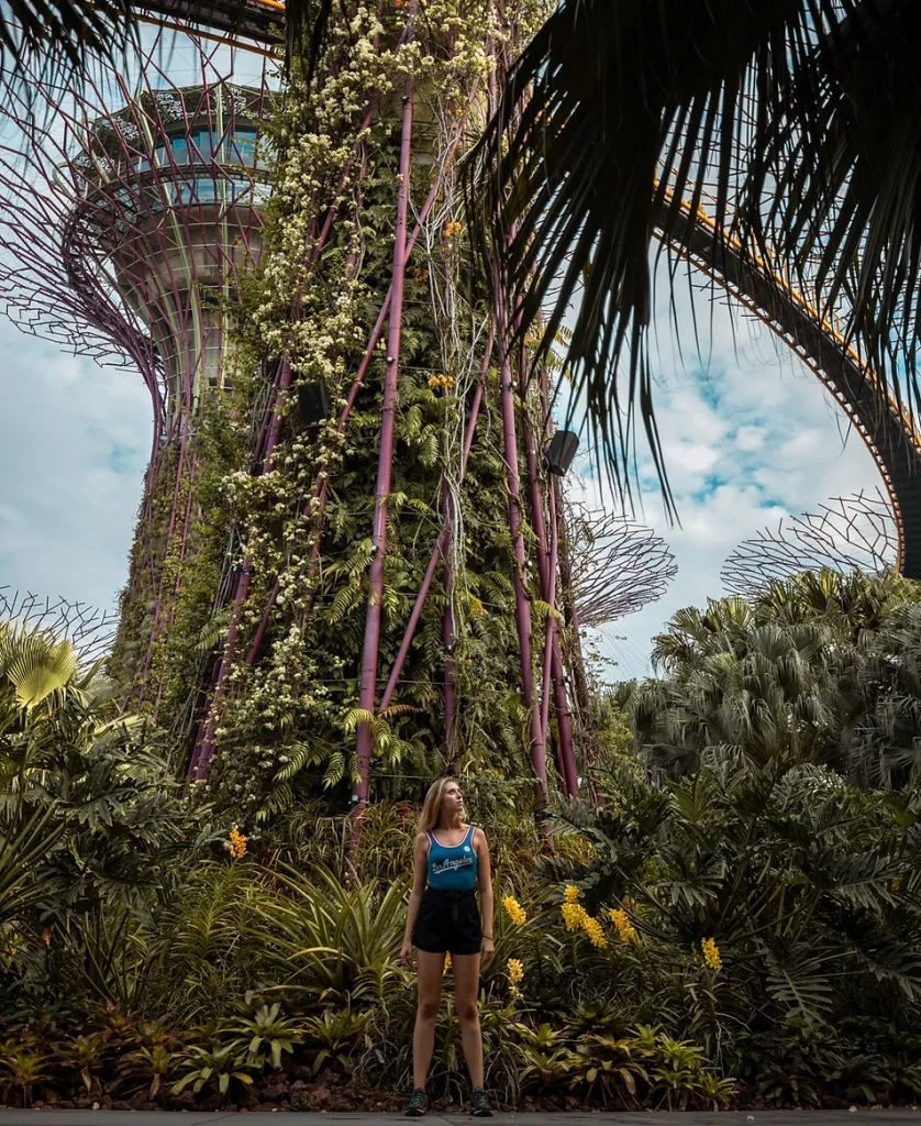 Gardens by the Bay