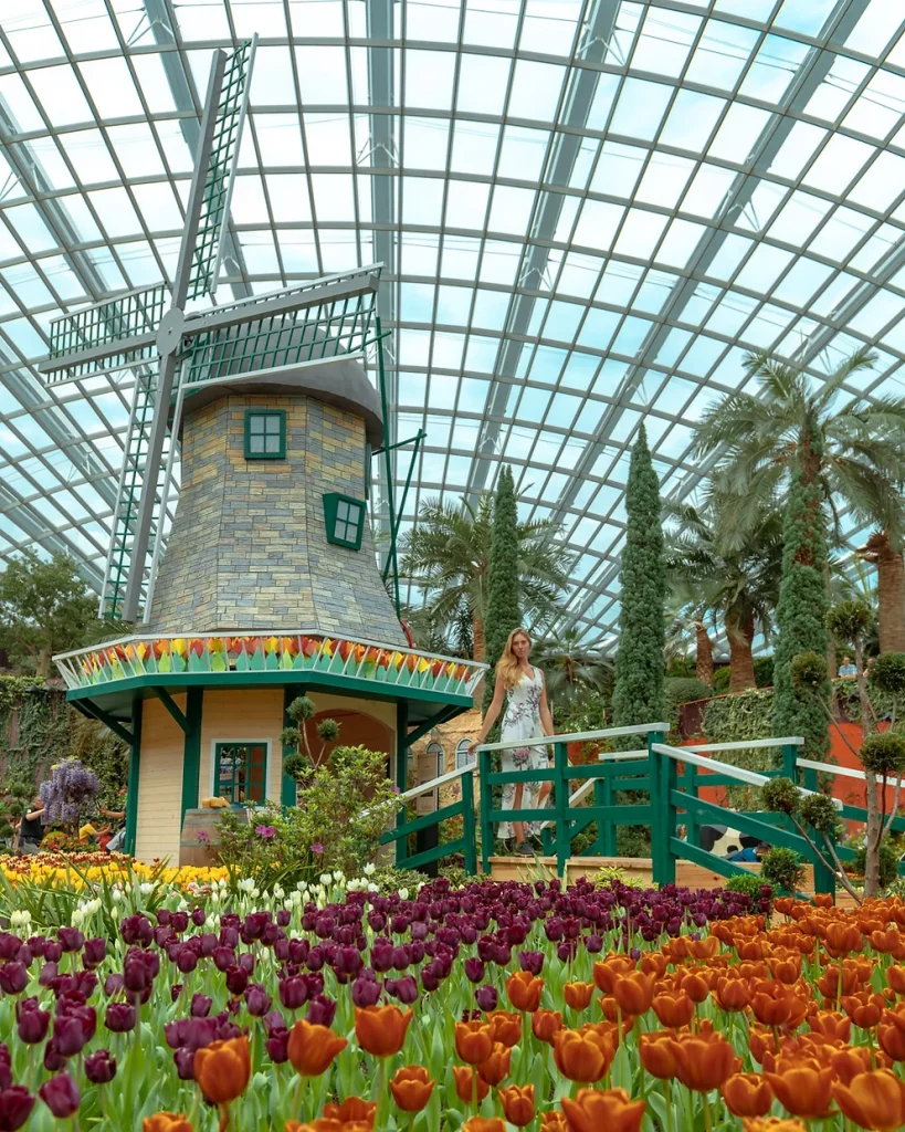 Inside the Lush Cloud Flower Dome, Singapore