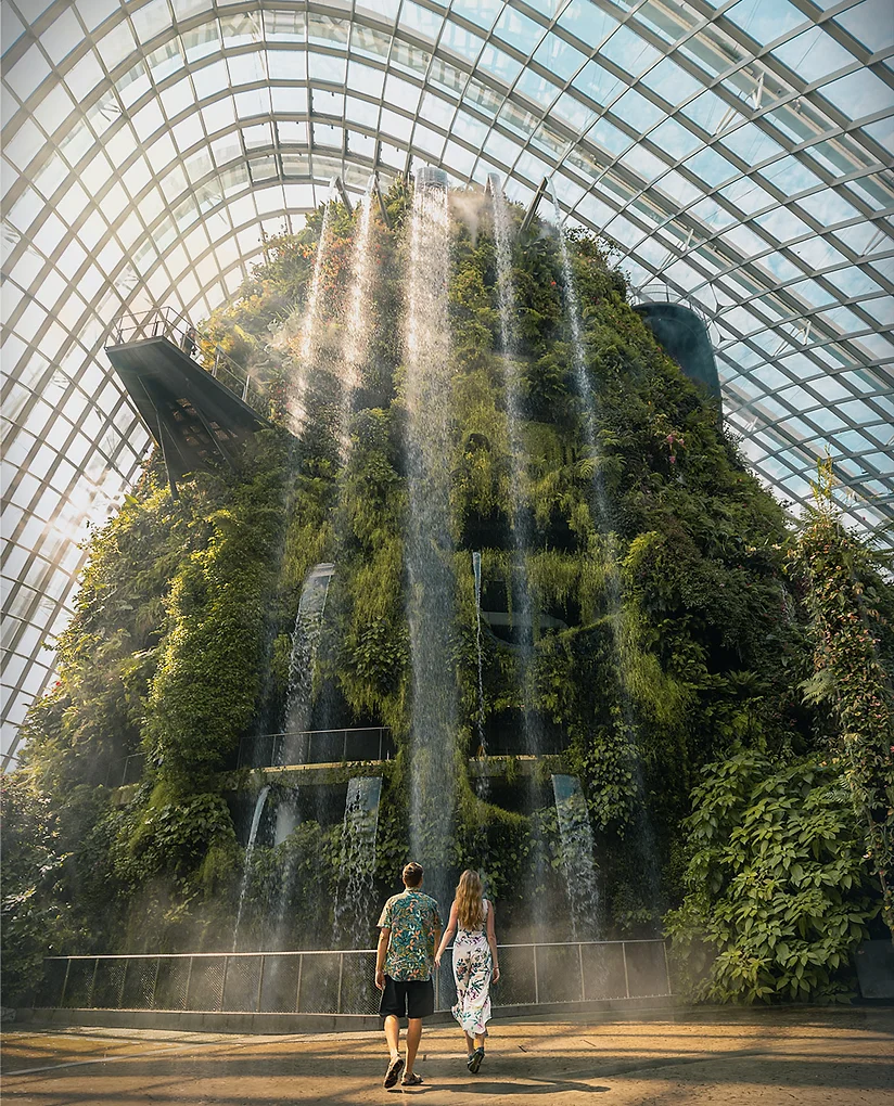 Inside the Lush Cloud Forest Dome, Singapore