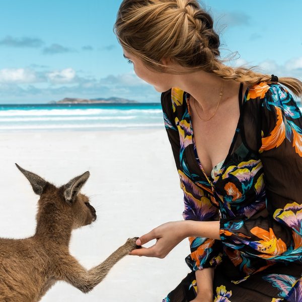 Top 10 Places to Visit in Australia by Van
