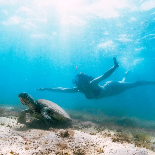 Top 10 Places to Visit in Australia by Van