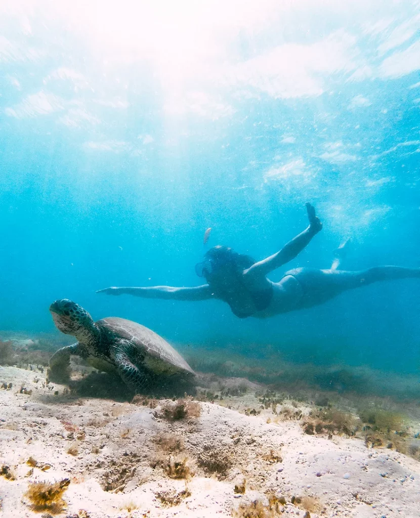 Top 10 Places to Visit in Australia by Van