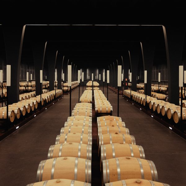A picturesque vineyard at Somontano Winery, showcasing one of the top experiences and places to visit in Huesca