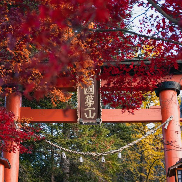 Sunrise at Chureito Pagoda with Mount Fuji in the background