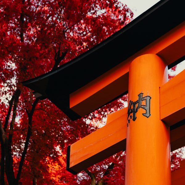 Fushimi Inari Taisha’s red Torii gates with stunning autumn trees nearby in Kyoto.
