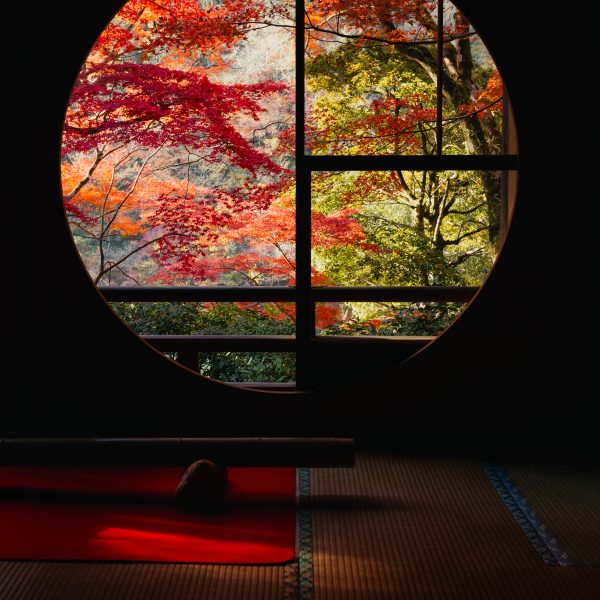 Somekobo Yumeyusai museum with unique autumn reflections created by indoor mirrors. Kyoto, a cultural highlight in a 2-week Japan itinerary. a must-visit spot during autumn in Japan