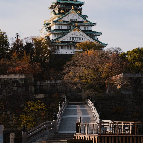 Osaka Castle surrounded by a canopy of golden and red leaves, a must-see destination during autumn in Japan.thpara