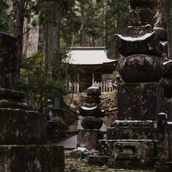 Koyasan temple surrounded by snow-dusted autumn leaves for a serene spiritual experience.
