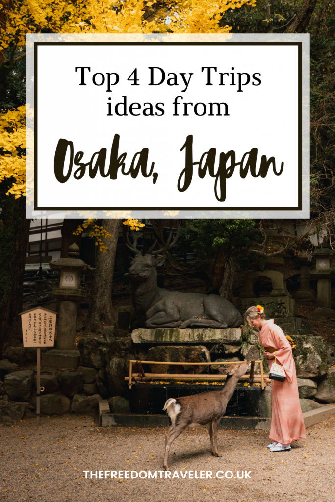 Top 4 Day Trips from Osaka to Discover Japan’s Hidden Gems