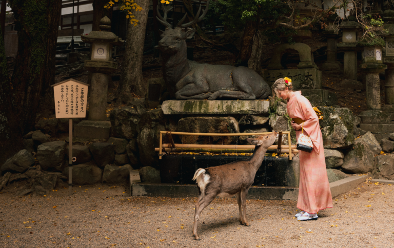 How to Prepare for Your Trip to Japan: A Complete Guide