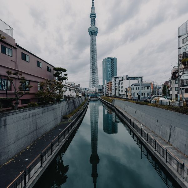 Tokyo the city that has it all