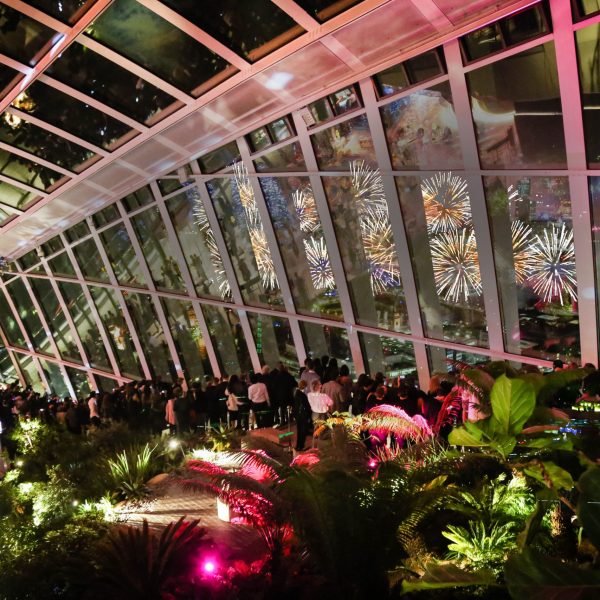 Where to Watch London Fireworks: Rooftop Bars and Restaurants for NYE