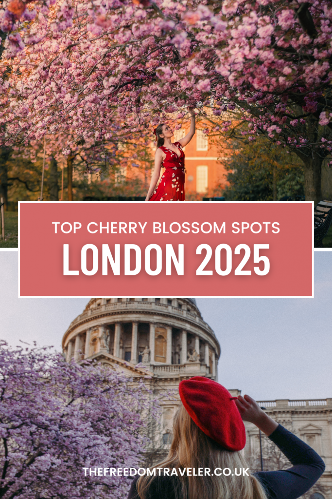 London Cherry Blossom Guide 2025 (with Map!) – Best Locations & When to Visit