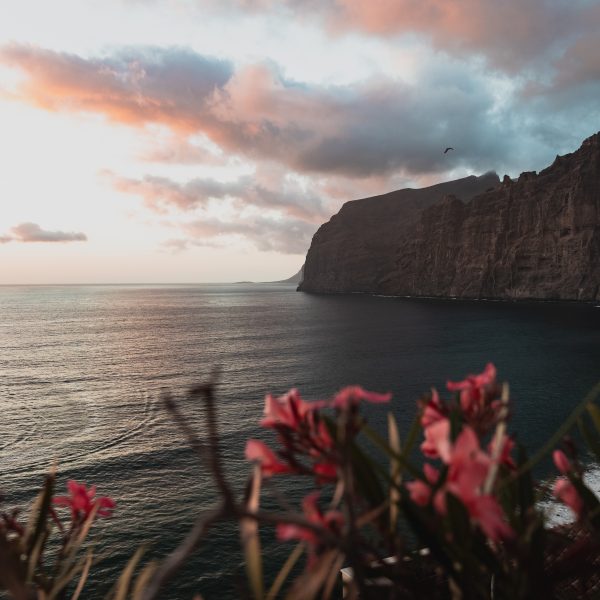 Do You Need a Car in Tenerife? A Complete Guide to Getting Around the Island