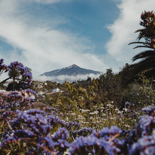Tenerife's Volcanic Wonderland