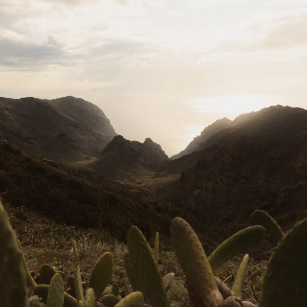 Montaña de El Palmar (Montaña Zahorra): Breathtaking Views of Tenerife’s Landscape