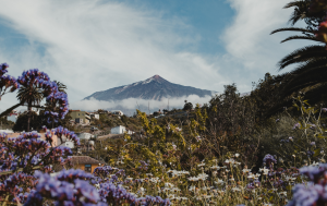 How Many Days Do You Need in Tenerife? The Perfect Itinerary for Every Traveler