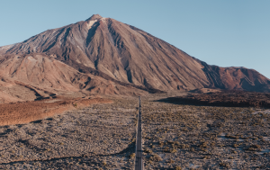 Do You Need a Car in Tenerife? A Complete Guide to Getting Around the Island