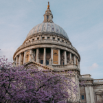 London Cherry Blossom Guide 2026 (with Map!) – Best Locations & When to Visit