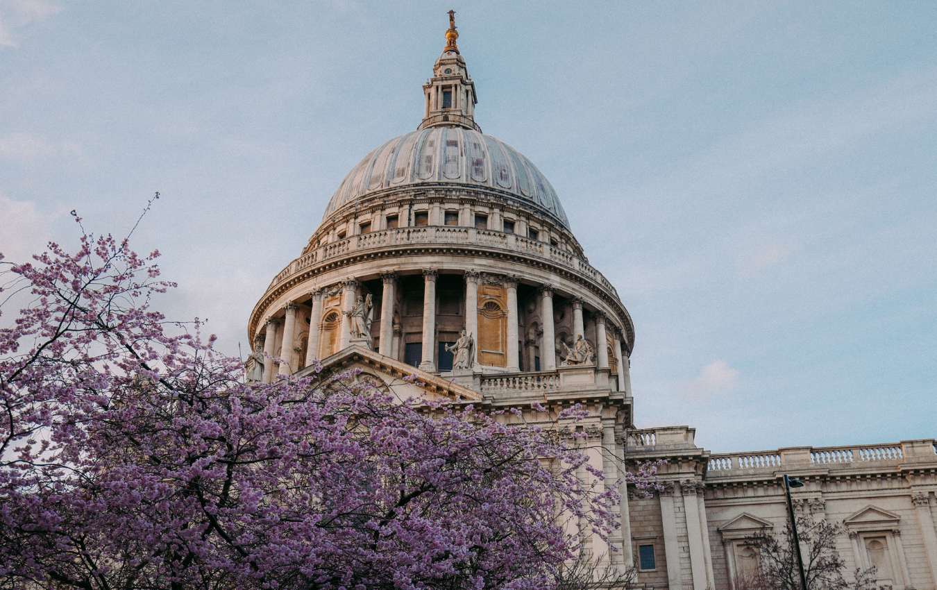 Cherry blossoms in London with St. Paul’s Cathedral in the background