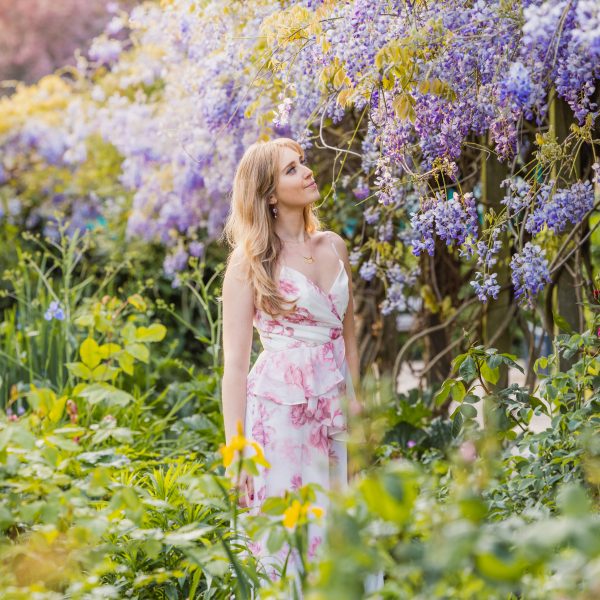 Peckham Rye Park Wisteria