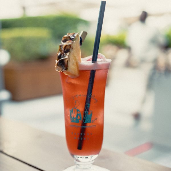 Top Singapore Activities