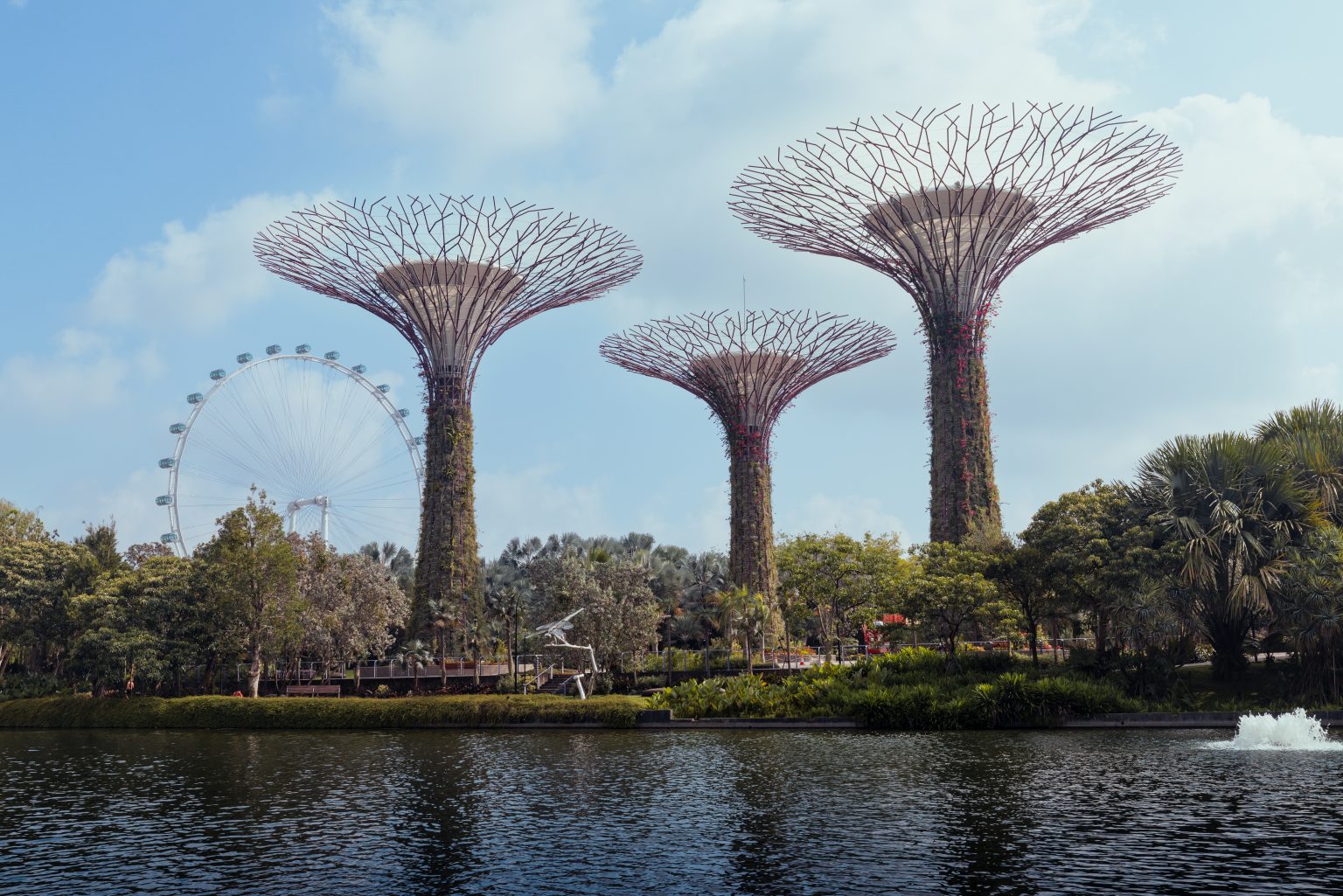 Top Singapore Activities