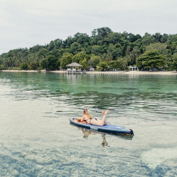 Paddle board