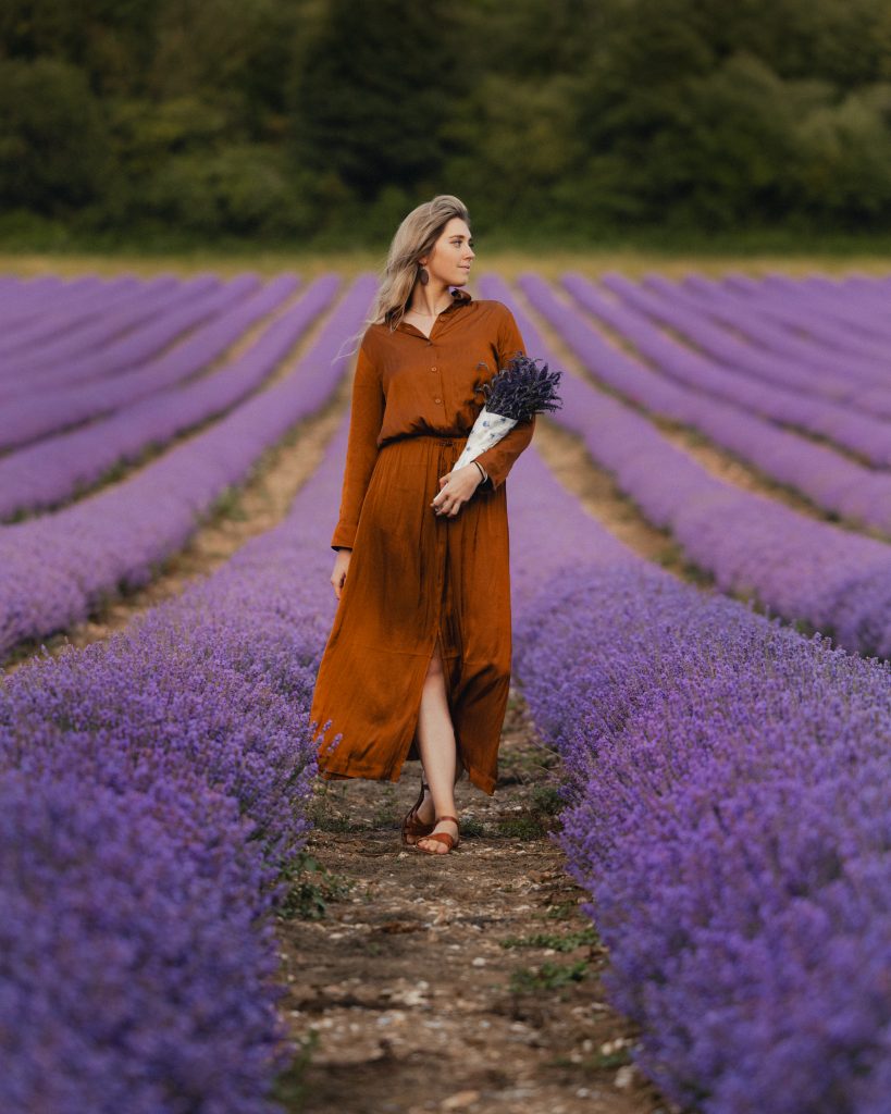 Lavender Fields London