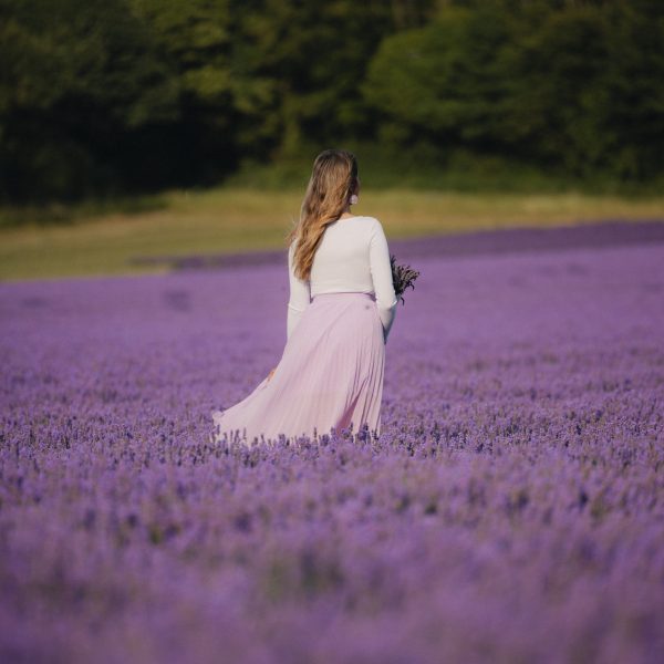 Lavender Fields London