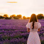 London Lavender Guide 2025 (With Map!)