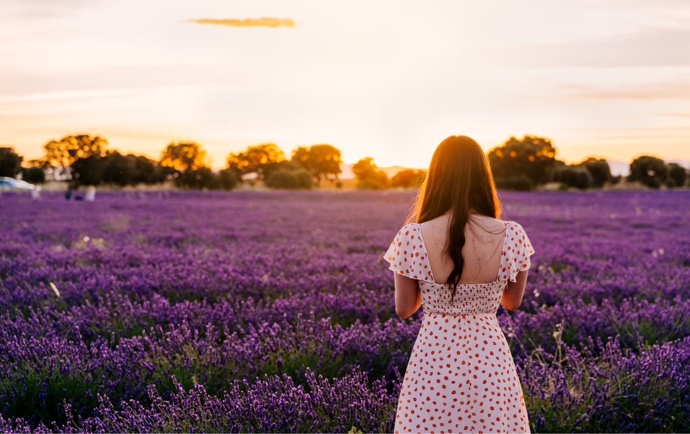 London Lavender Fields