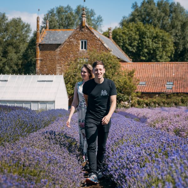 Lavender Fields Norfolk