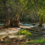 Havasupai Campground: What to Expect From This Canyon Stay