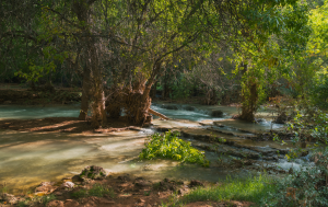 Havasupai Campground