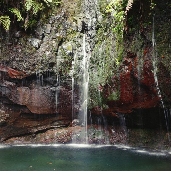 Hiking PR6 Levada das 25 Fontes