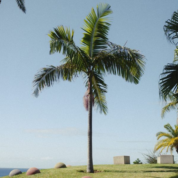 Seven-day Madeira road trip itinerary