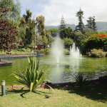 Best Things to Do in Funchal, Madeira: The Complete Travel Guide