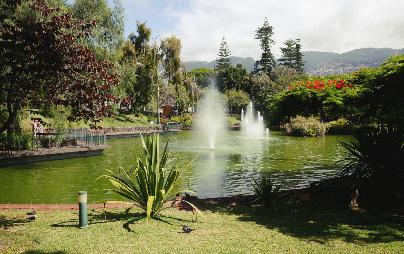 You are currently viewing Best Things to Do in Funchal, Madeira: The Complete Travel Guide