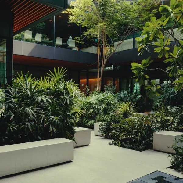 Indoor garden with tropical plants, stone benches and a water feature at the House of Wisdom, Sharjah