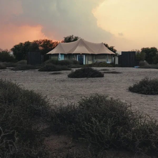 Luxury tent at Kingfisher Retreat at sunset in the Kalba mangroves